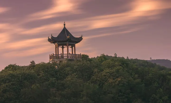 贵州百里杜鹃景区