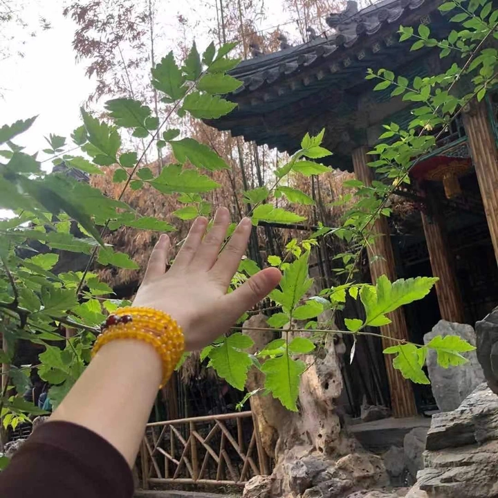 恭王府随拍