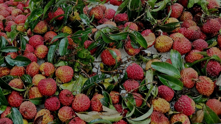 一起吃荔枝