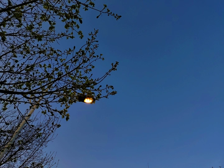 暮光与路灯