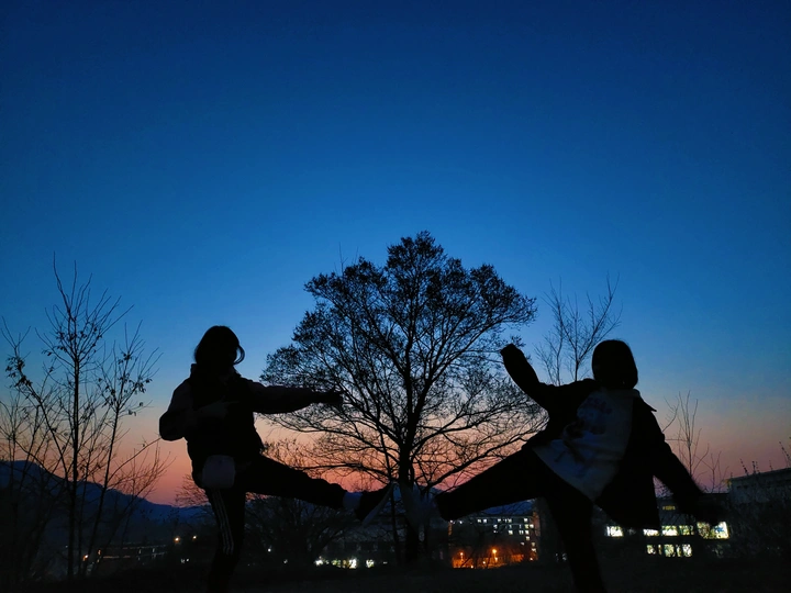 夕阳下的老树