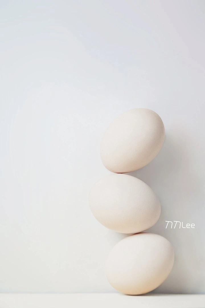 舞动鸡蛋