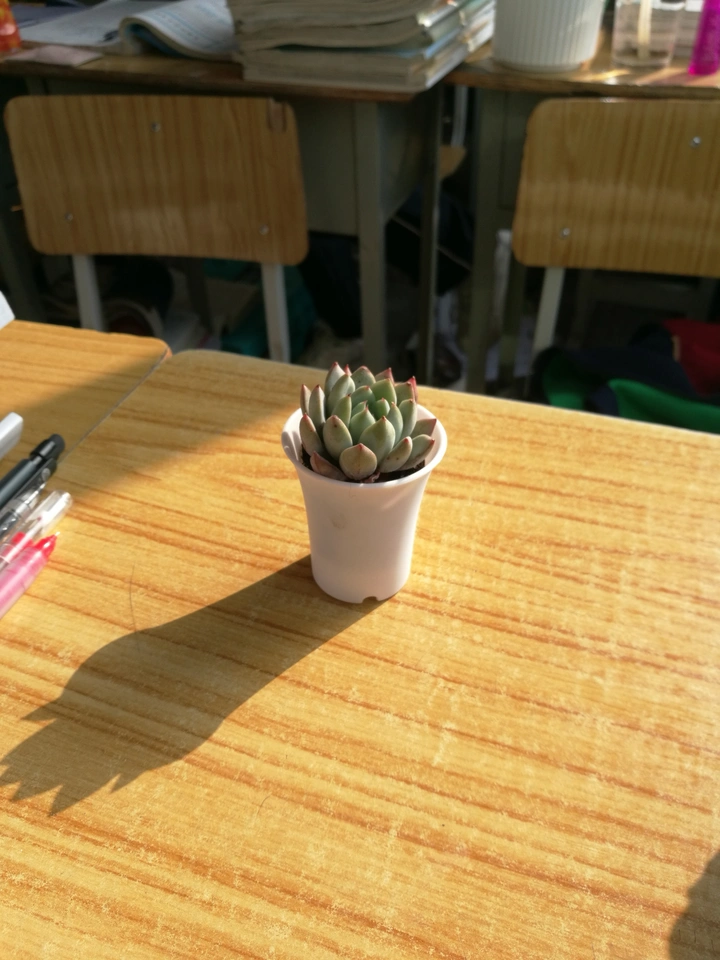 日常