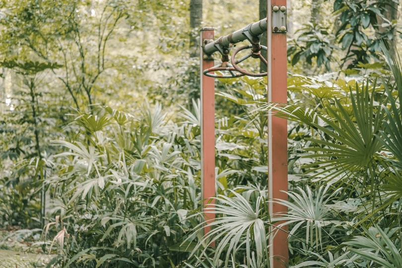 树木环绕的热带花园里的篮球圈