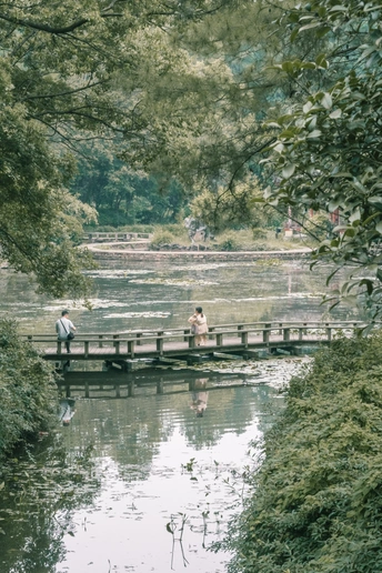 几个男人站在河或湖上的木桥上