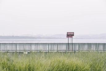 一片高高的草地 有一个红色的标志 背景是一片水域