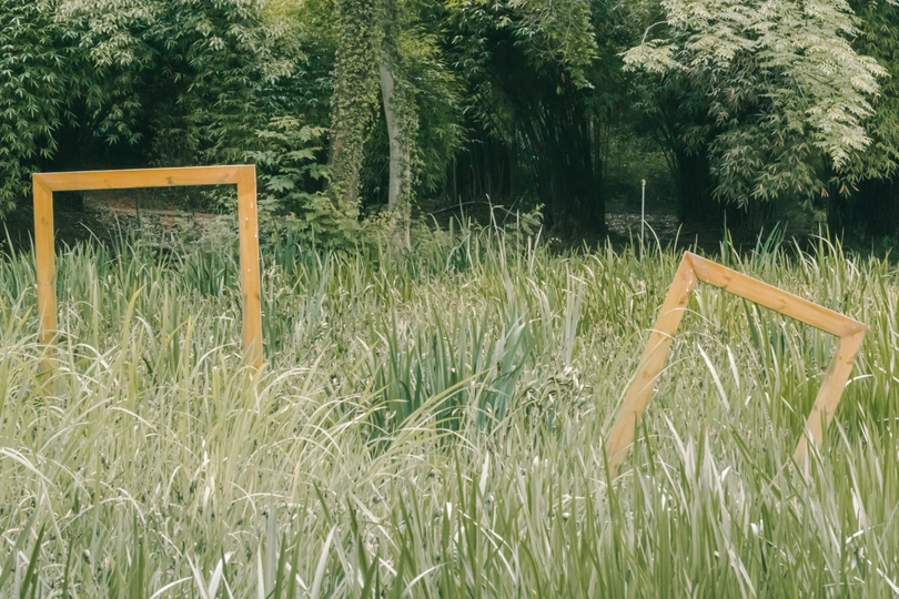 背景是高大的草地和树木