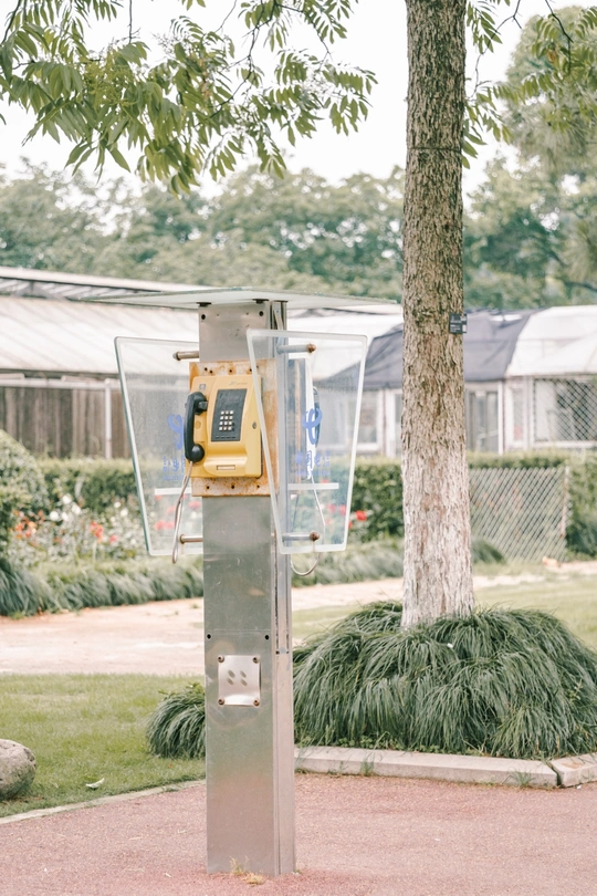 一部手机放在一棵树旁的停车收费表上