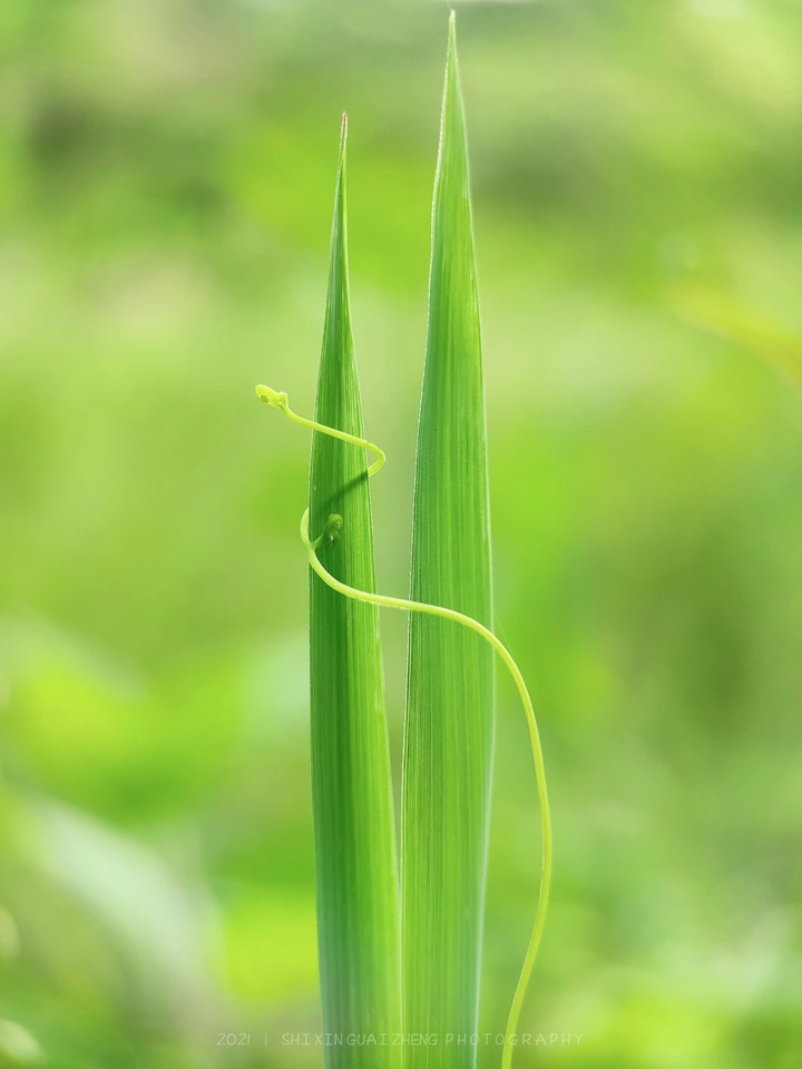 一路向上