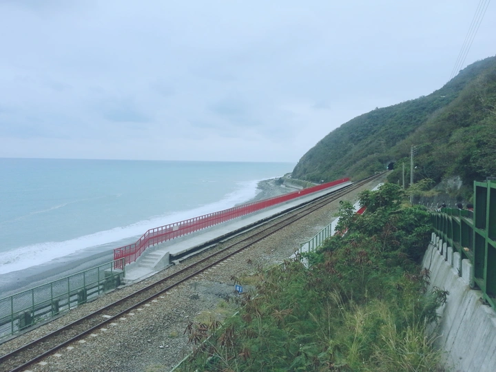 观海
