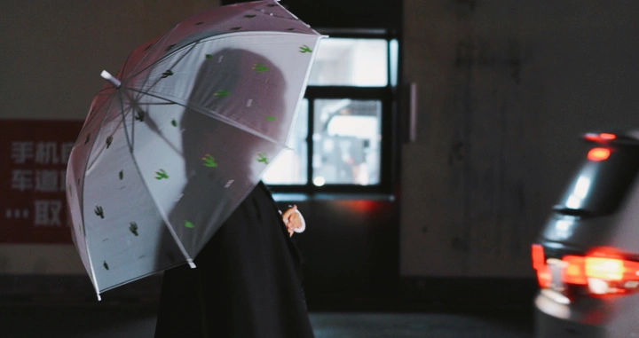 《穿梭餐厅》 雨中人
