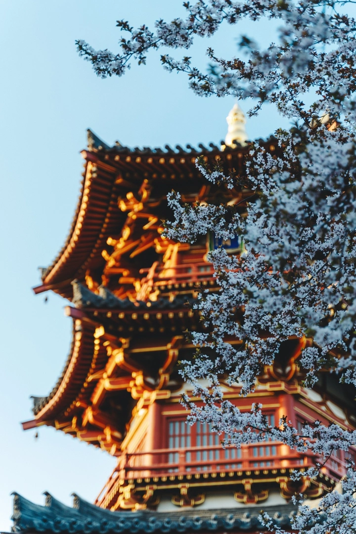 西安的春