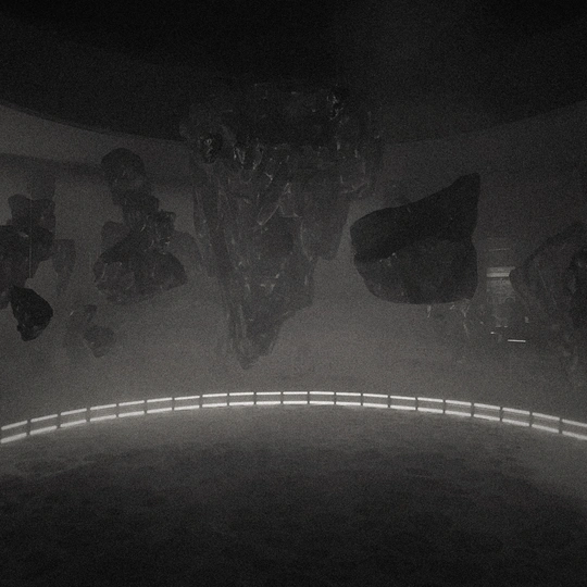 一个黑白相间的房间 有灯光和花瓶。