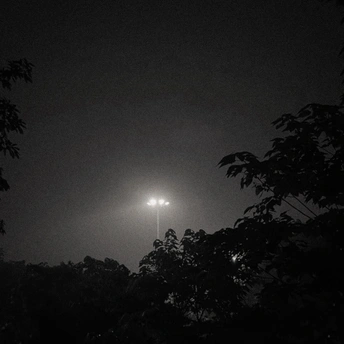 一个黑暗的夜晚 有树木和街灯。