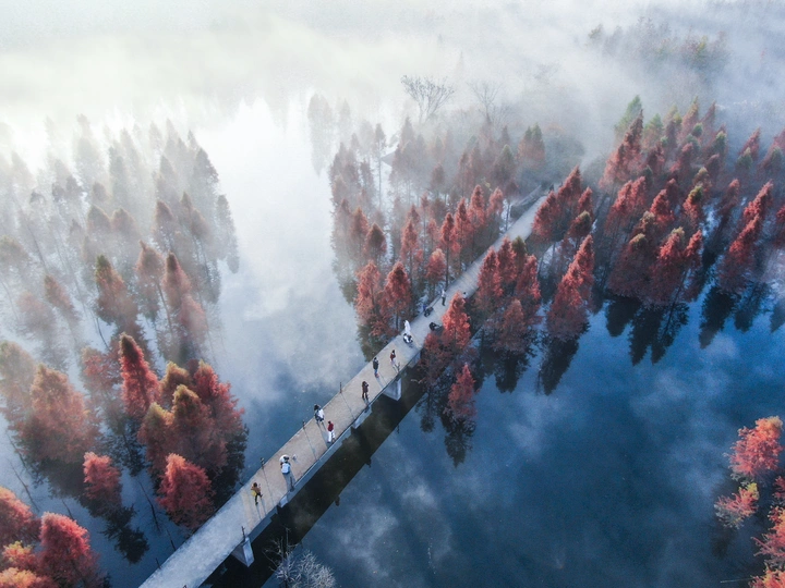 水墨杉水