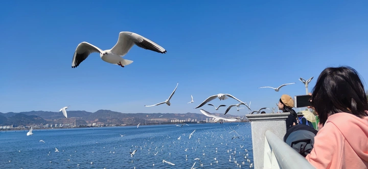 翔空腾蓝