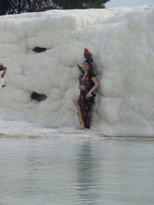 一位站在水坑中的女人 身后有雪和冰 还有一只鸟。