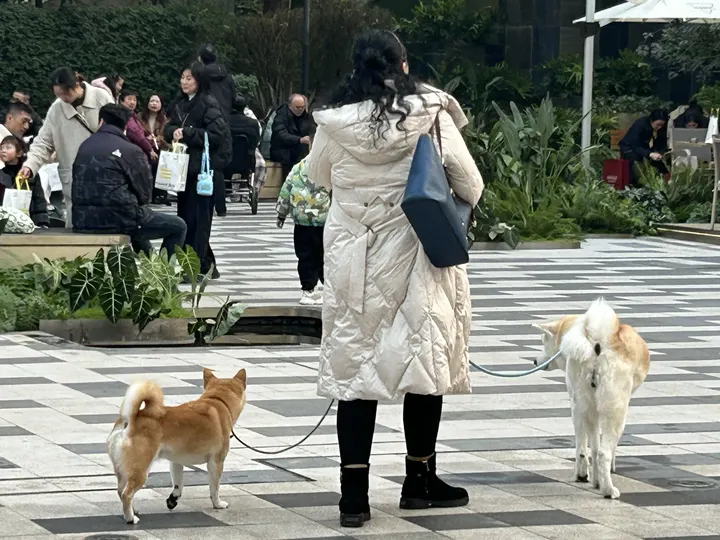 冬日公园游