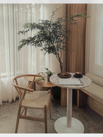 有圆桌、椅子、盆栽和窗户的客厅