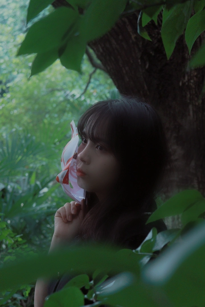 森