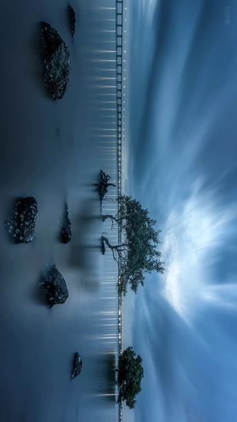 水中的一棵树 背景是蓝天