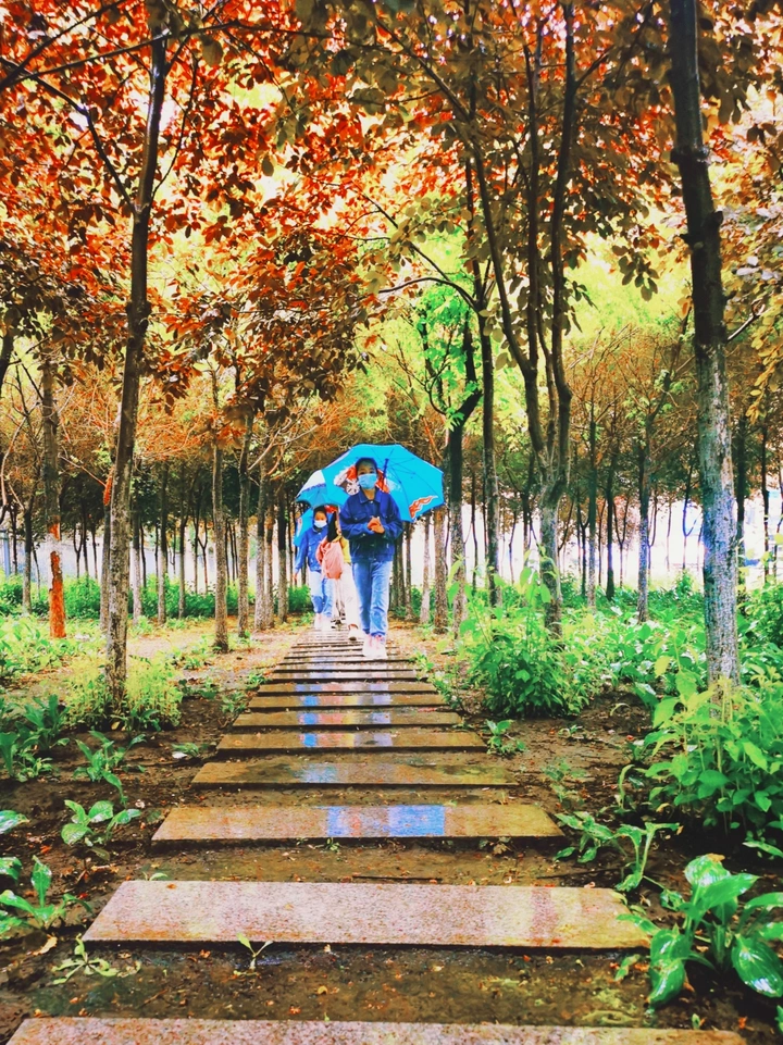 雨中即景☔️