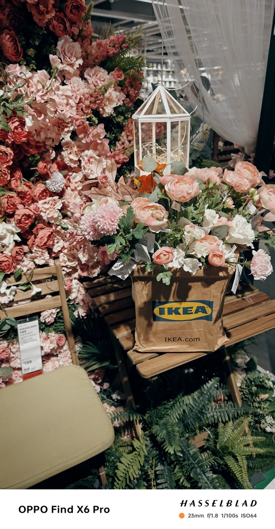 花店 一面墙上的花