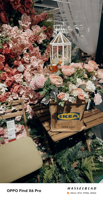 花店 一面墙上的花