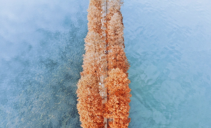 疫情后的武汉