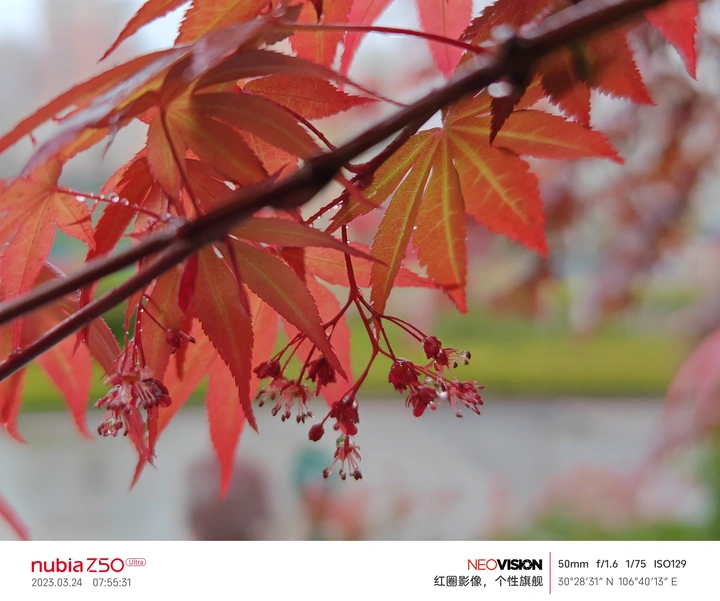 春风春雨春意浓，花香花俏花满园。