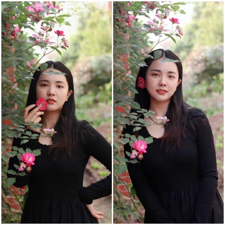 蔷薇诚可爱，美女比花娇。
