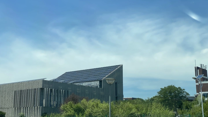 大学
