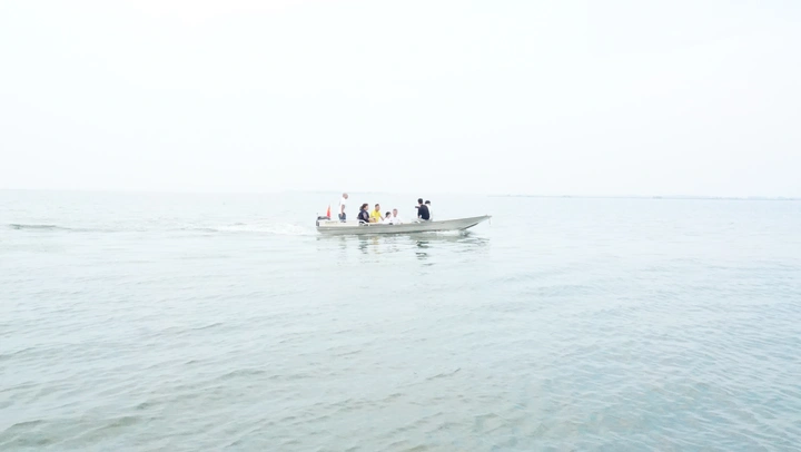 阳澄湖的风景