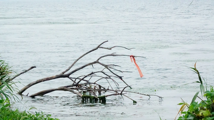 阳澄湖风光
