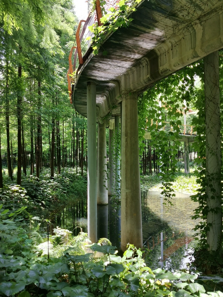 炎炎夏日，寻一处好去处