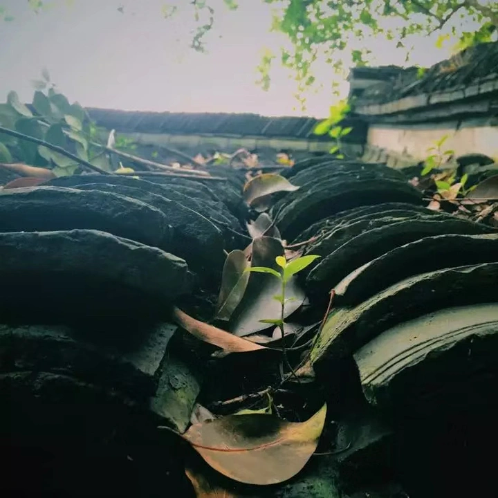 瓦房