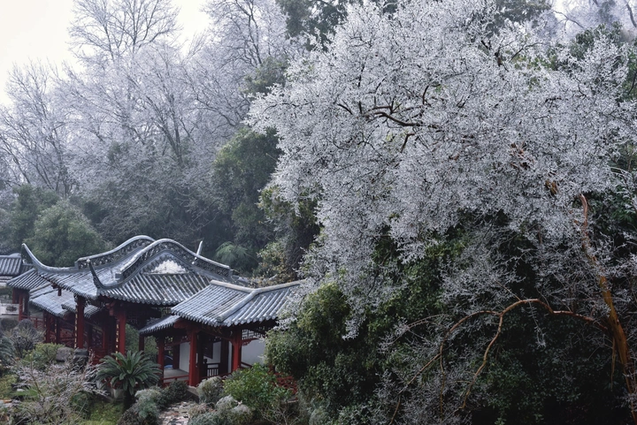 鄂州西山的冰雨