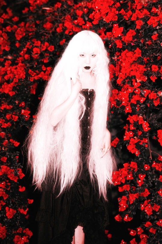 一位身着黑色长裙 头戴白发的女人 置身于红色的花丛中。