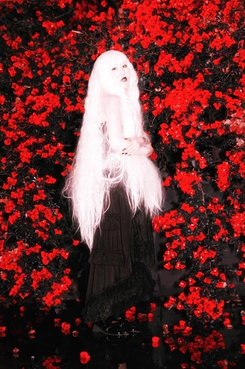 一位穿着黑色长裙 长发飘飘的女孩 置身于红色的花丛中。