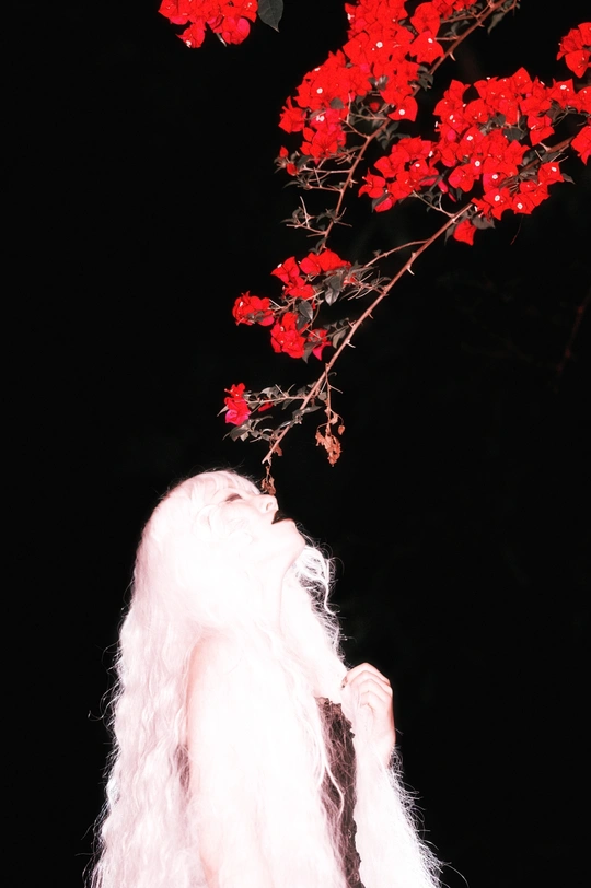 一位穿白色衣服 粉色头发的女性 手里拿着一束红色的花。