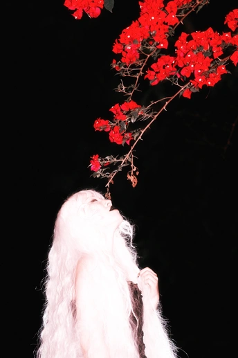 一位穿白色衣服 粉色头发的女性 手里拿着一束红色的花。