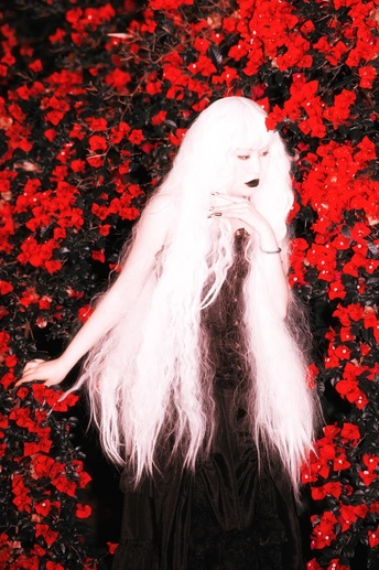 一位长着白发的女人在一片红花地