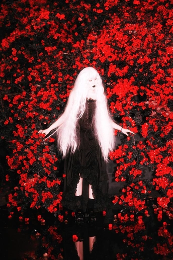 一位身着黑色长裙 头戴白发的女人 置身于红色的玫瑰花丛中。