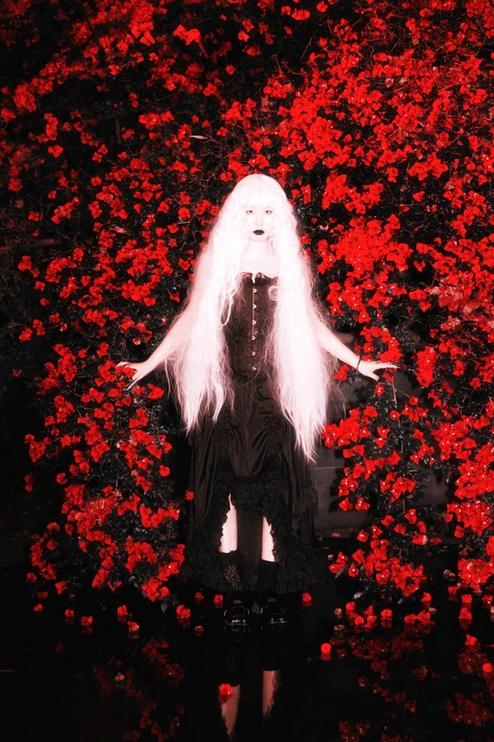 一位身着黑色衣服 头发花白的人在红玫瑰花床前。