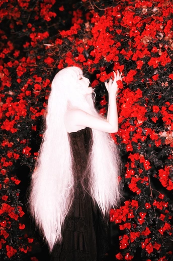 一位长着白头发 穿着黑色连衣裙 站在红色花朵前的女人