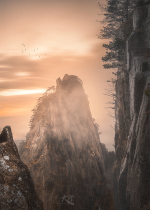 一个超现实的景观 有悬崖、岩石、树木和天空中飞翔的鸟。