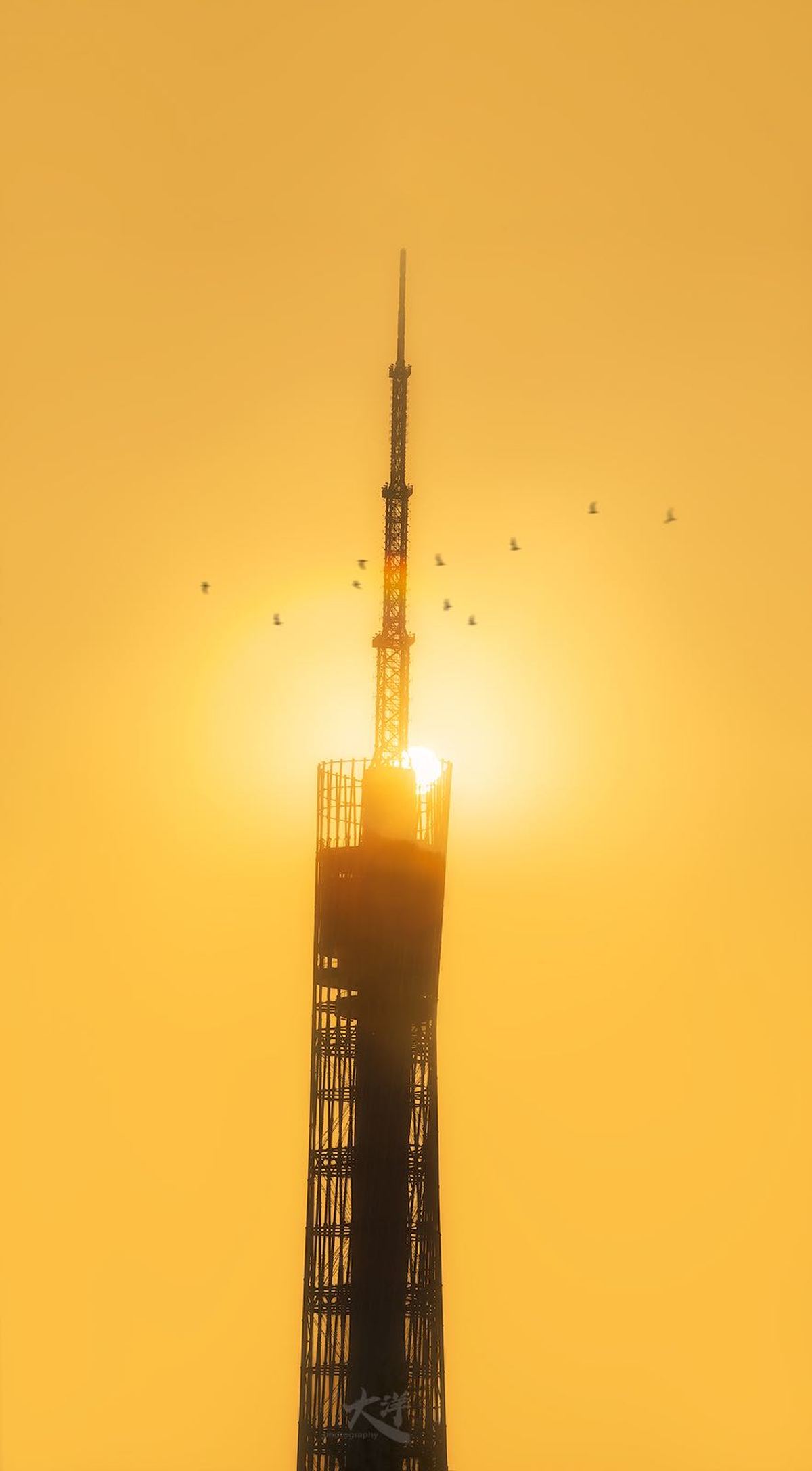 一座高塔周围飞翔着鸟儿 夕阳以橙色天空为背景。