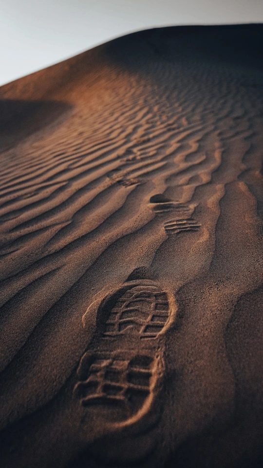 沙漠中的脚印