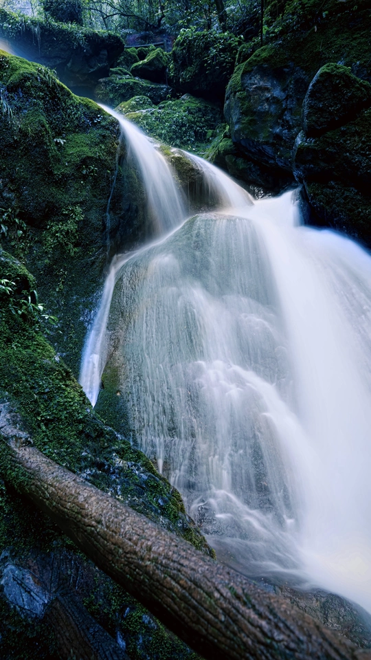a small waterfall in a forest with a fallen tree i
