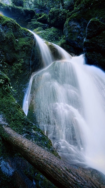 a small waterfall in a forest with a fallen tree i